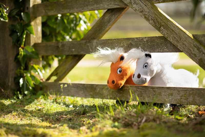 Hy Equestrian Thelwell Ponies