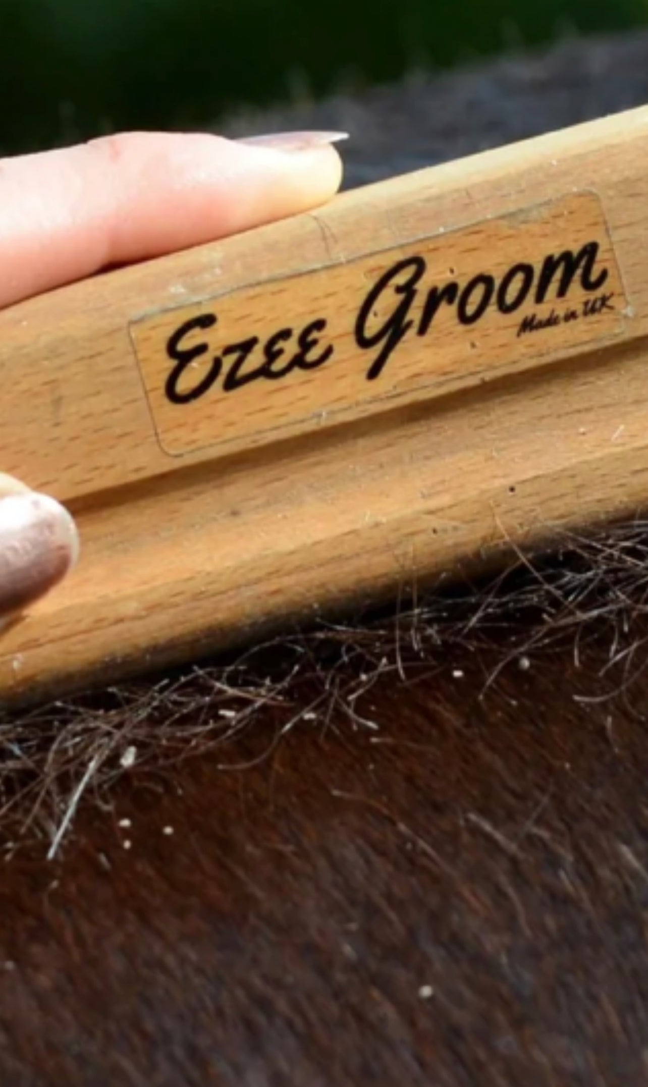 Smart Grooming Ezee Groom Shredder