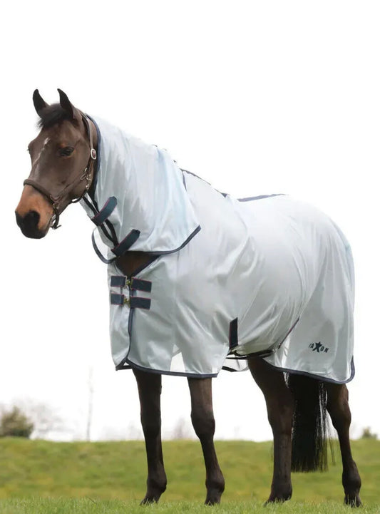 Saxon Fly Combo Rug - 4’0 4’3 5’6