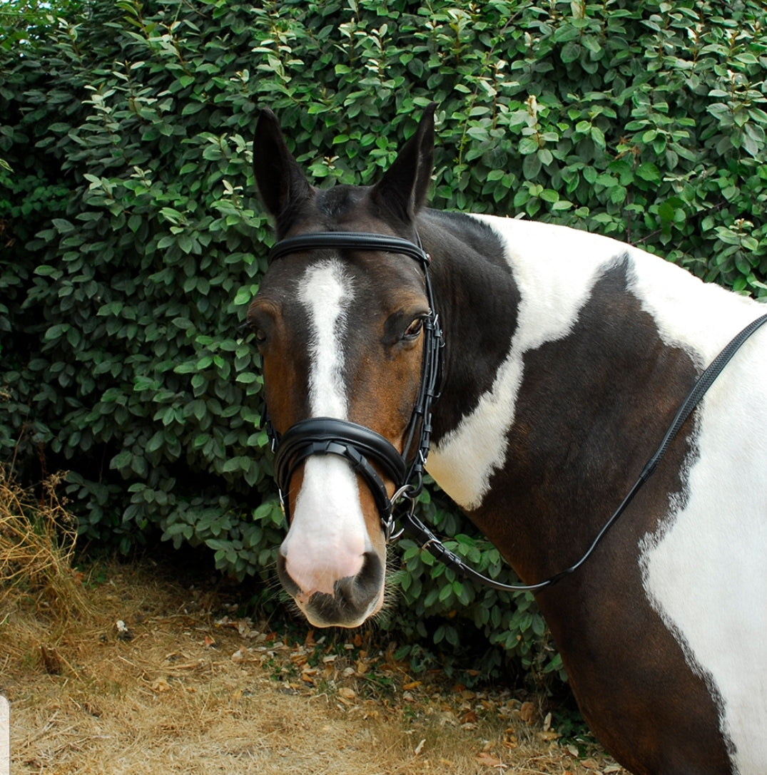 Windsor Comfort crank flash bridle & rubber reins - Pony - Cob - Full - Extra Full