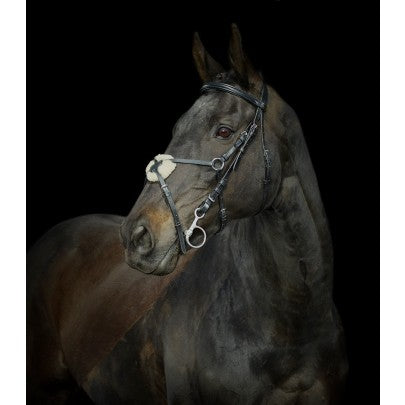 Gallop Grackle Bridle & Reins - Pony Cob Full Extra Full