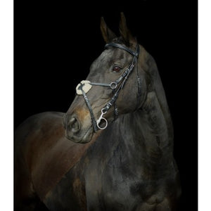 Gallop Grackle Bridle & Reins - Pony Cob Full Extra Full