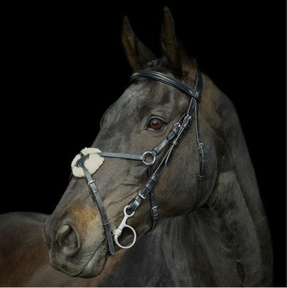 Gallop Grackle Bridle & Reins - Pony Cob Full Extra Full