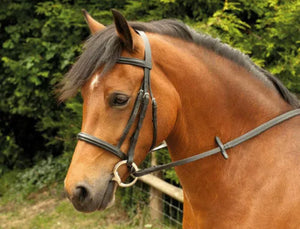 Windsor Plain Leather Bridle & Reins