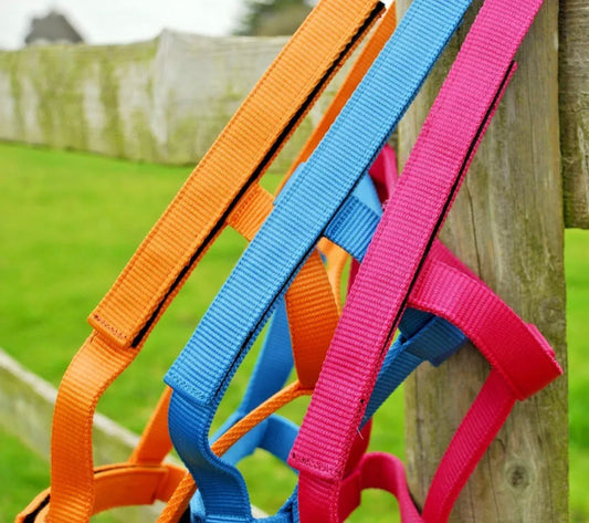 Rhinegold Fieldsafe Headcollar