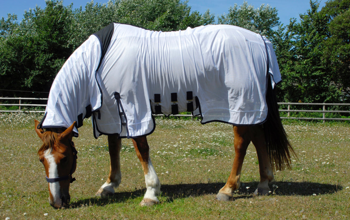 Rhinegold Sahara Fly Combo Rug Rrp £43.50 .