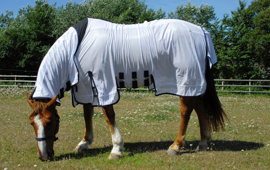 Rhinegold Sahara Fly Combo Rug Rrp £43.50 .