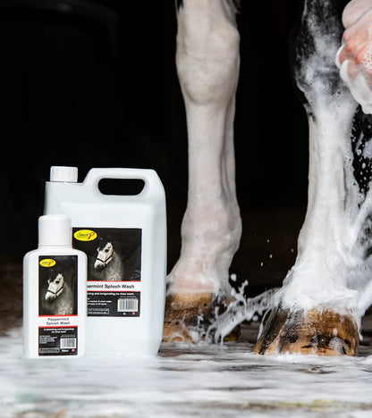 Smart Grooming Splosh Wash .