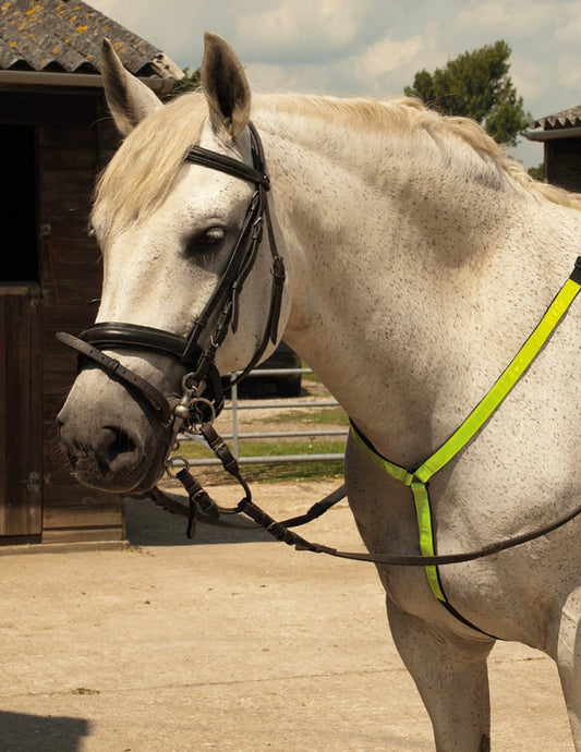 Reflective Breastplate - Be Safe Be Seen