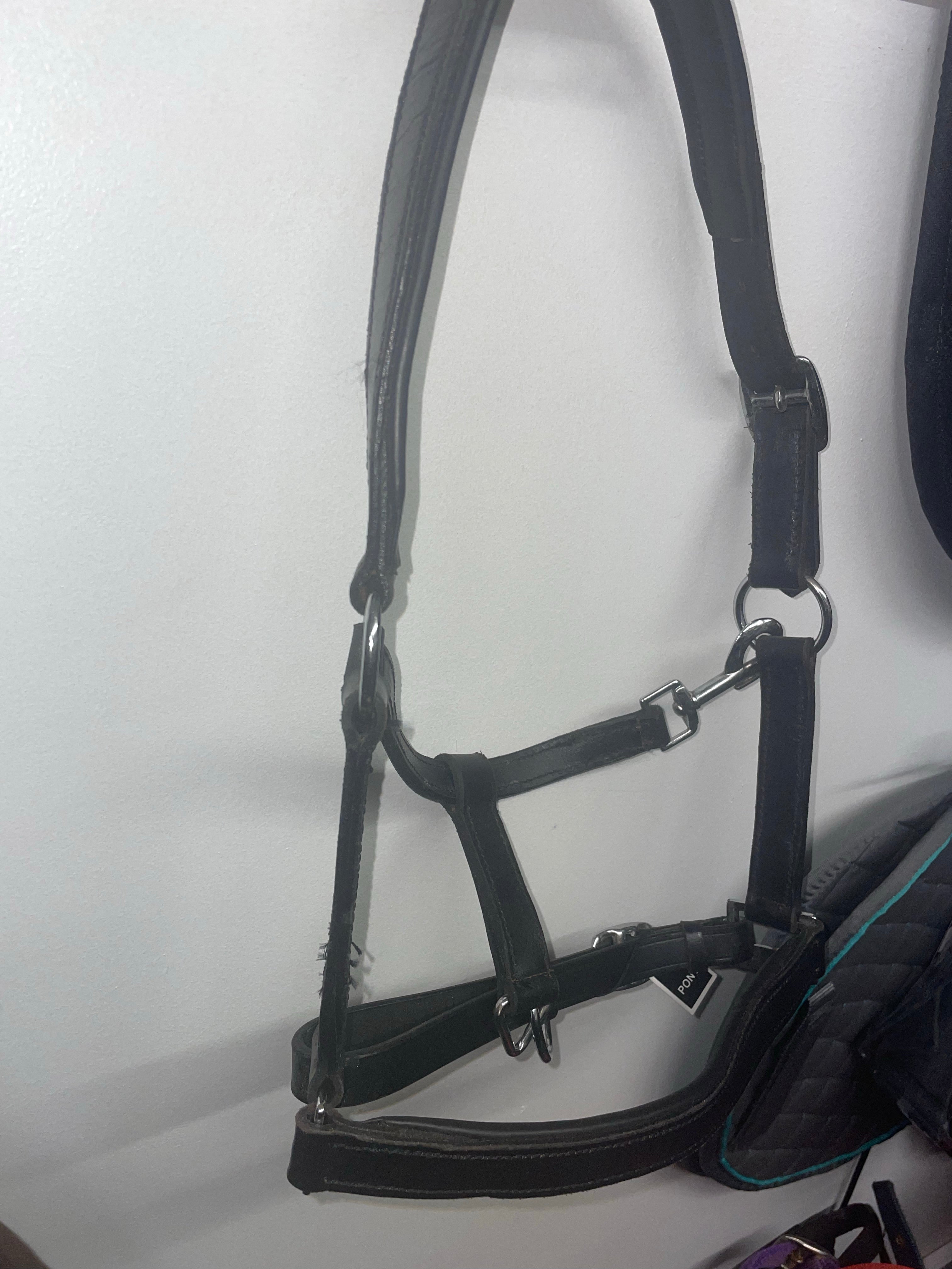 Black Leather Pony Headcollar