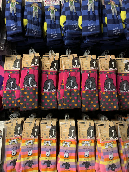 WOW!!! Random mix of 5 Carrots Long Riding Socks - Size 12 / 3