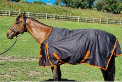 STS 100gm Turnout Rug