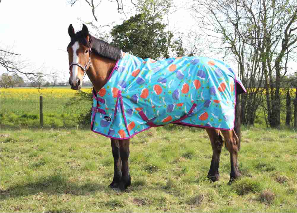 Hedgehog No Fill Turnout Rug - 5’0 to 7’0