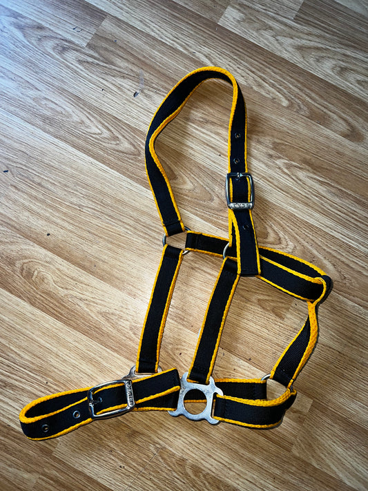 Libbys Yellow & Black Pony Headcollar