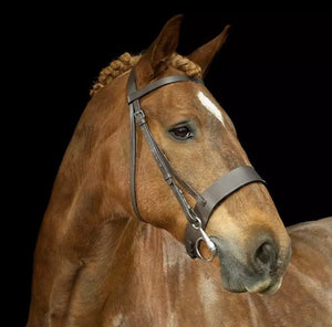 Gallop Hunter Bridle - Cob or Full - Not Badged For showing