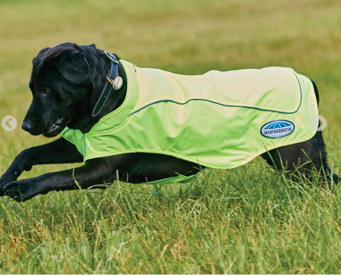 Weatherbeeta Reflective Exercise Dog Coat 12” 14” 20” 22”