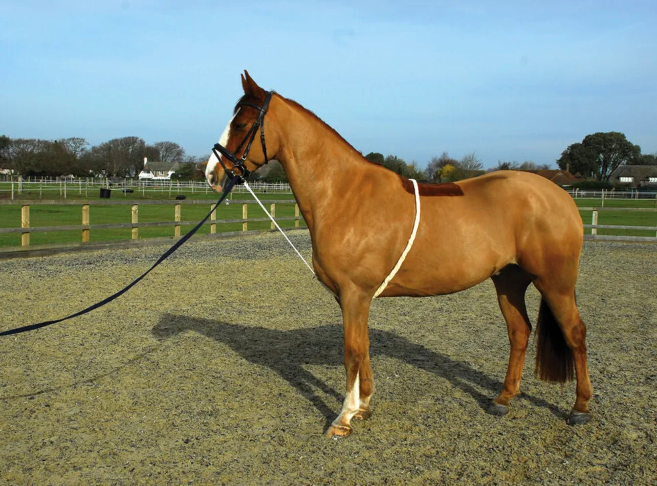 Rhinegold Soft Aid Training Lunging