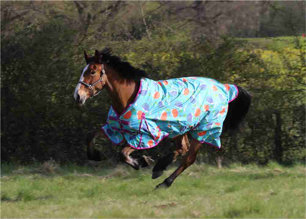 Hedgehog No Fill Turnout Rug - 5’0 to 7’0