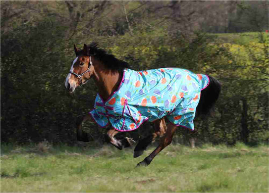 Hedgehog No Fill Turnout Rug - 5’0 to 7’0