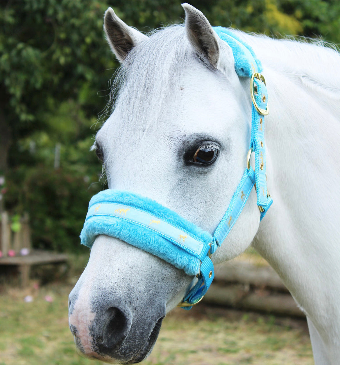 Fluffys!! Fluffy Headcollar - Various Sizes & Colours