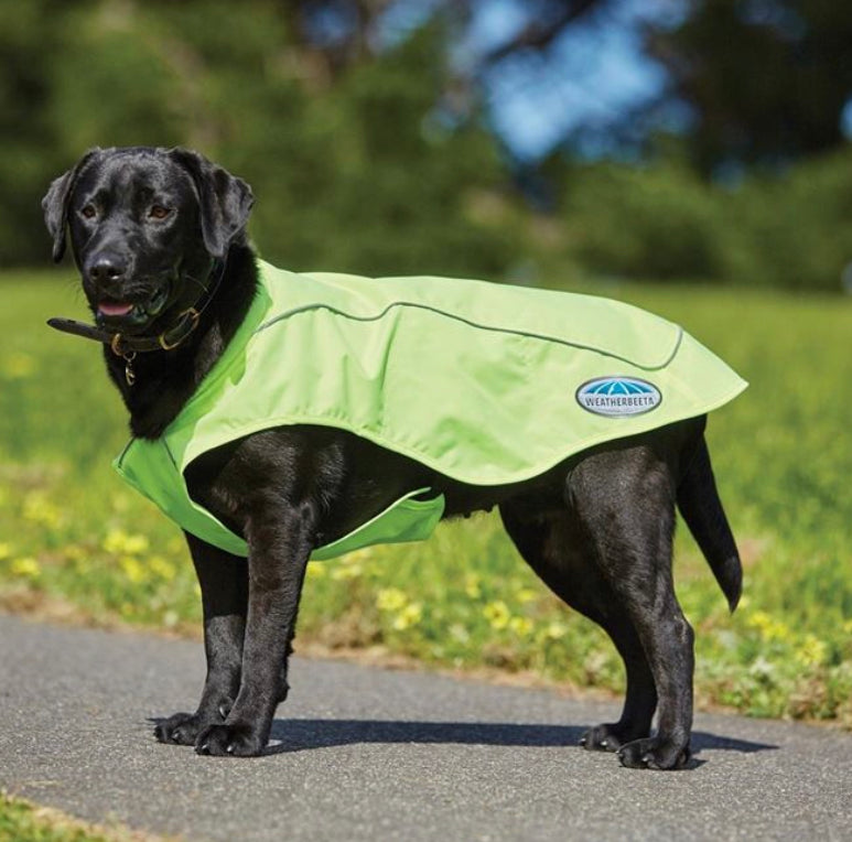 Weatherbeeta Reflective Exercise Dog Coat 12” 14” 20” 22”