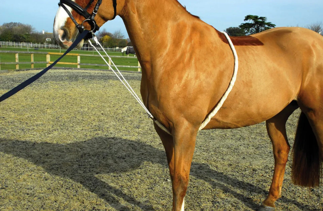 Rhinegold Soft Aid Training Lunging