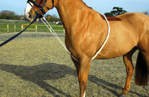 Rhinegold Soft Aid Training Lunging