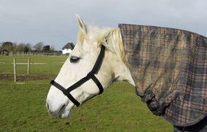 Rhinegold Fieldsafe Headcollar