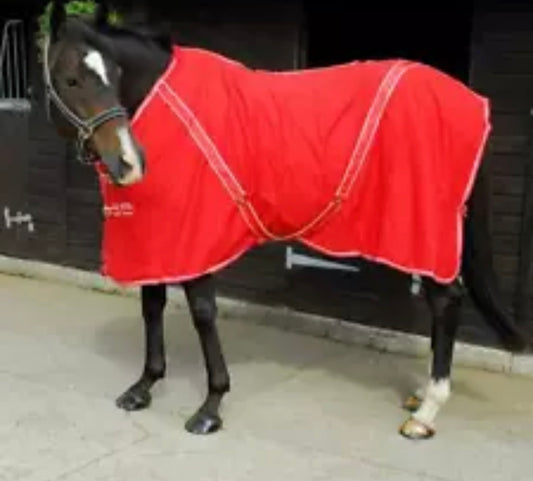 Rhinegold Summer Sheet