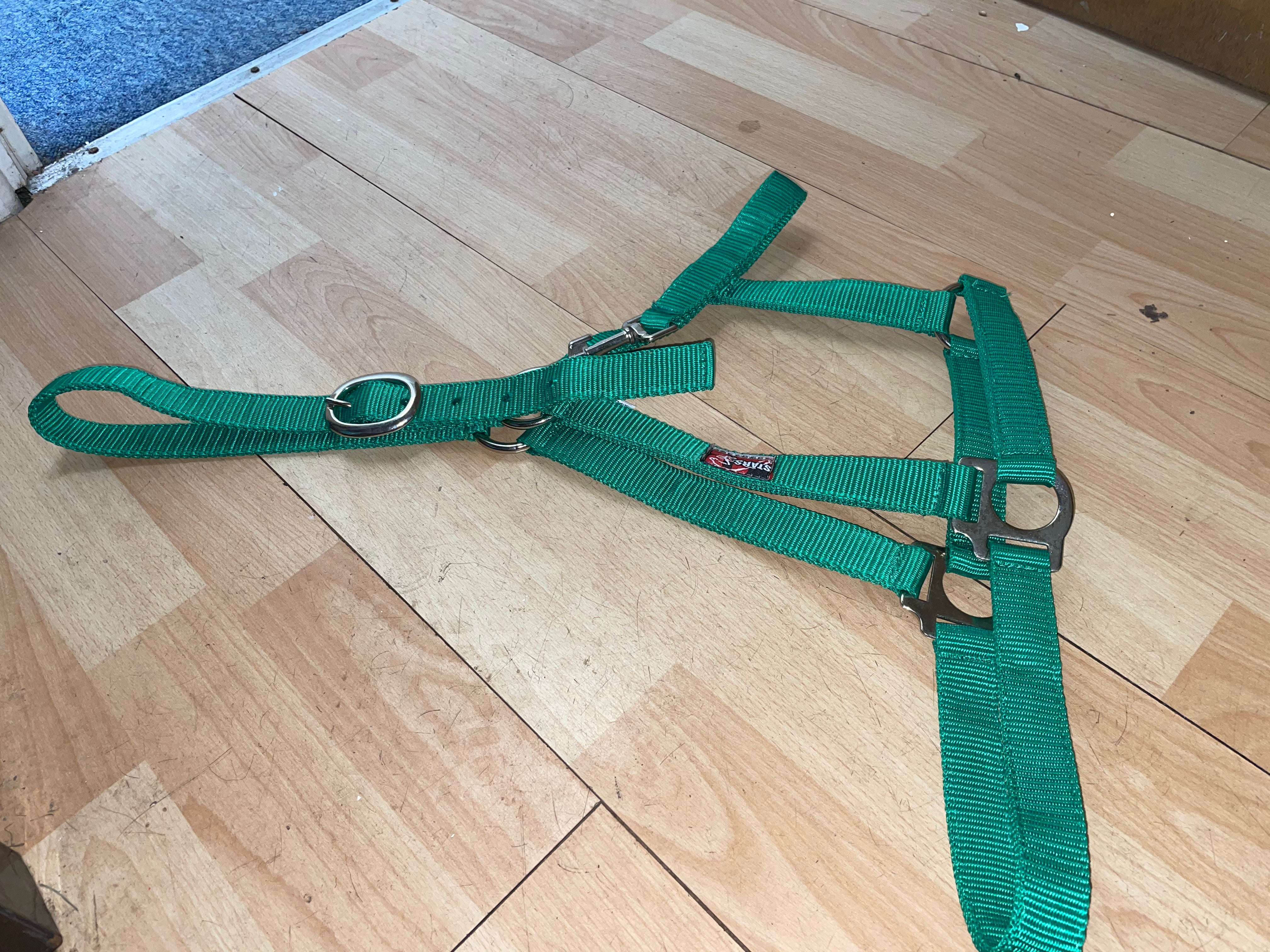 Green Extra Full Nylon Headcollar