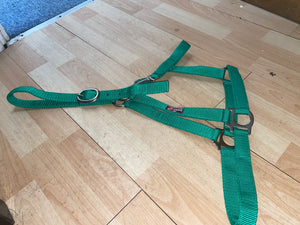 Green Extra Full Nylon Headcollar