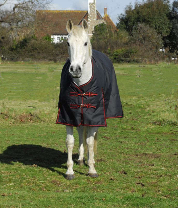 Rhinegold Thor 350gm Turnout Rug