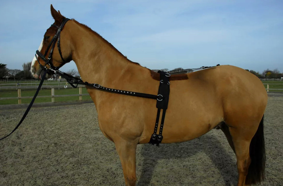 Rhinegold Training Roller - Pony