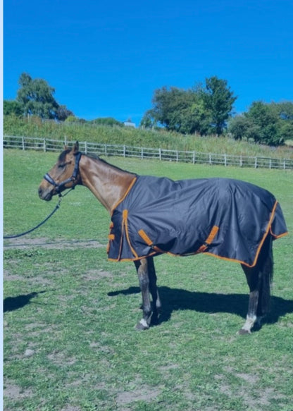 STS 100gm Turnout Rug