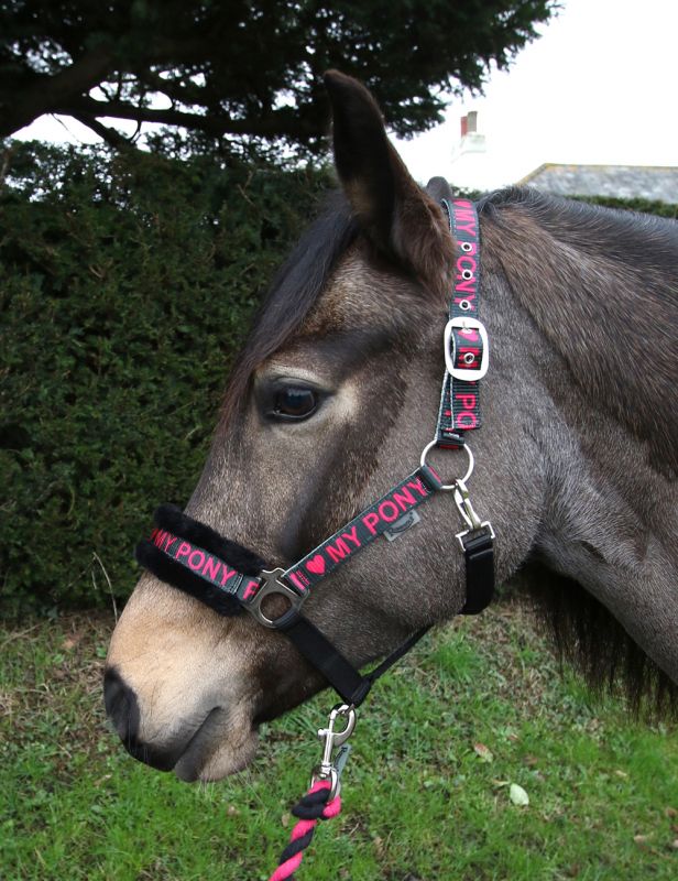 Rhinegold ‘ I Love my Pony ‘ headcollar Set - Shetland Pony or Cob