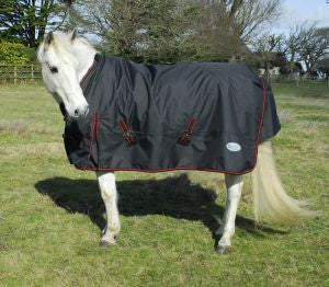 Rhinegold Thor 350gm Turnout Rug