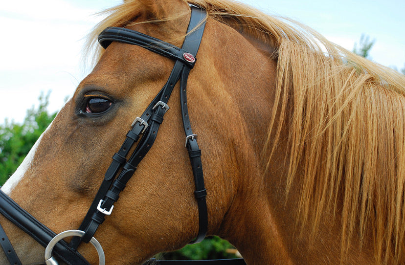 Windsor Flash Bridle & Rubber Reins