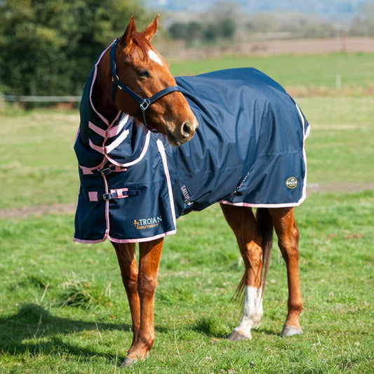 Gallop Trojan 50gm Turnout Combo Rug