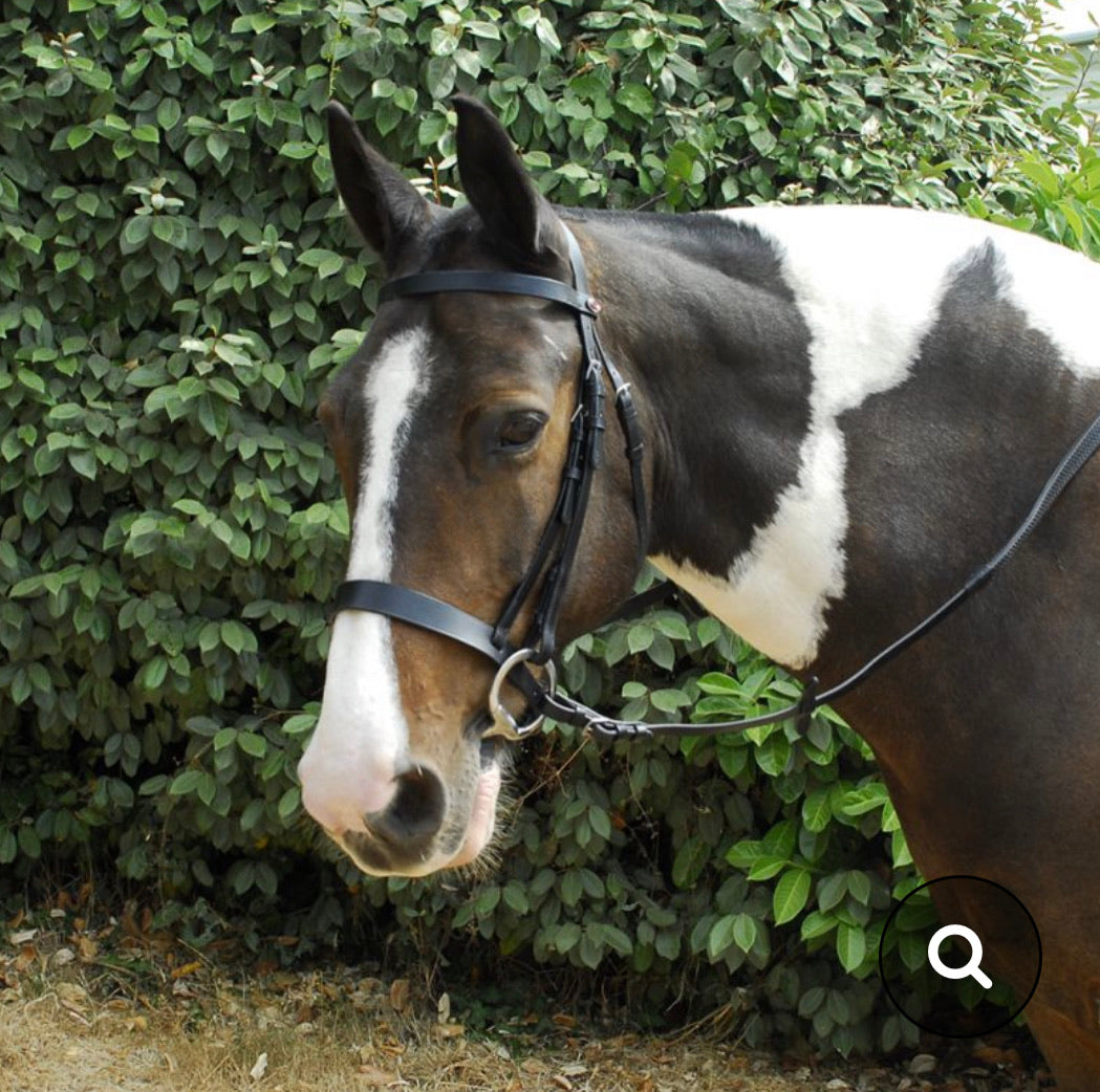 Windsor Hunter Bridle & Rubber Reins - Shetland Pony Cob Full