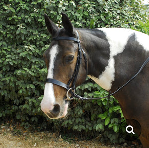 Windsor Hunter Bridle & Rubber Reins - Shetland Pony Cob Full