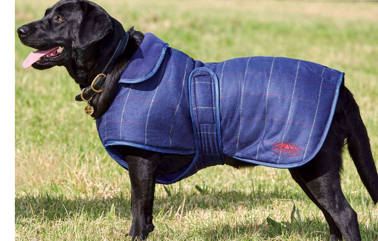 Weatherbeeta Blue Tweed Dog Coat