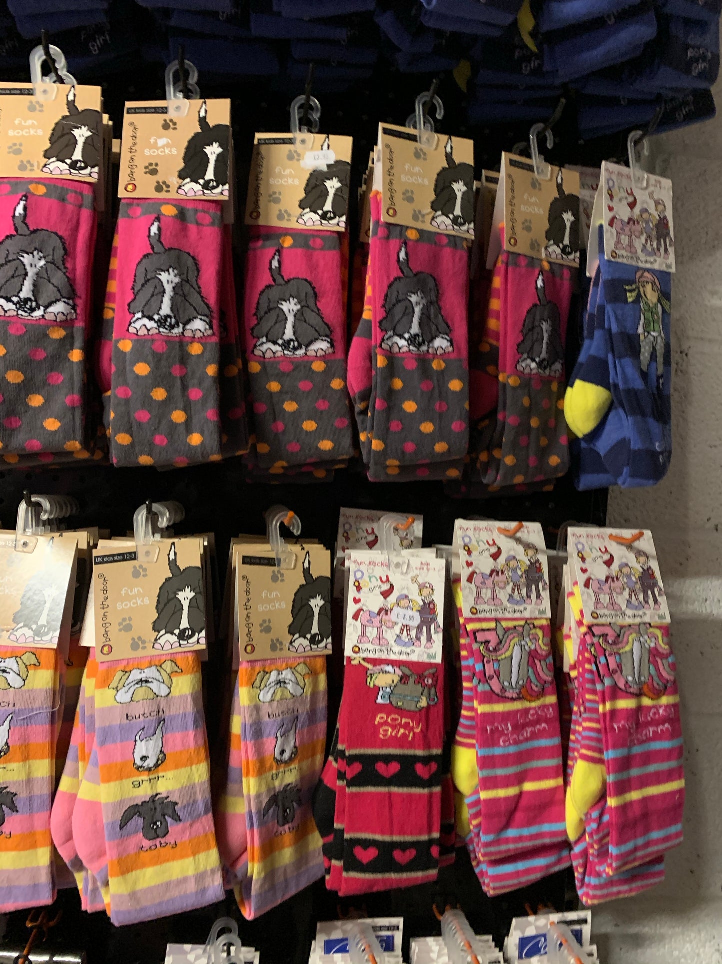 WOW!!! Random mix of 5 Carrots Long Riding Socks - Size 12 / 3