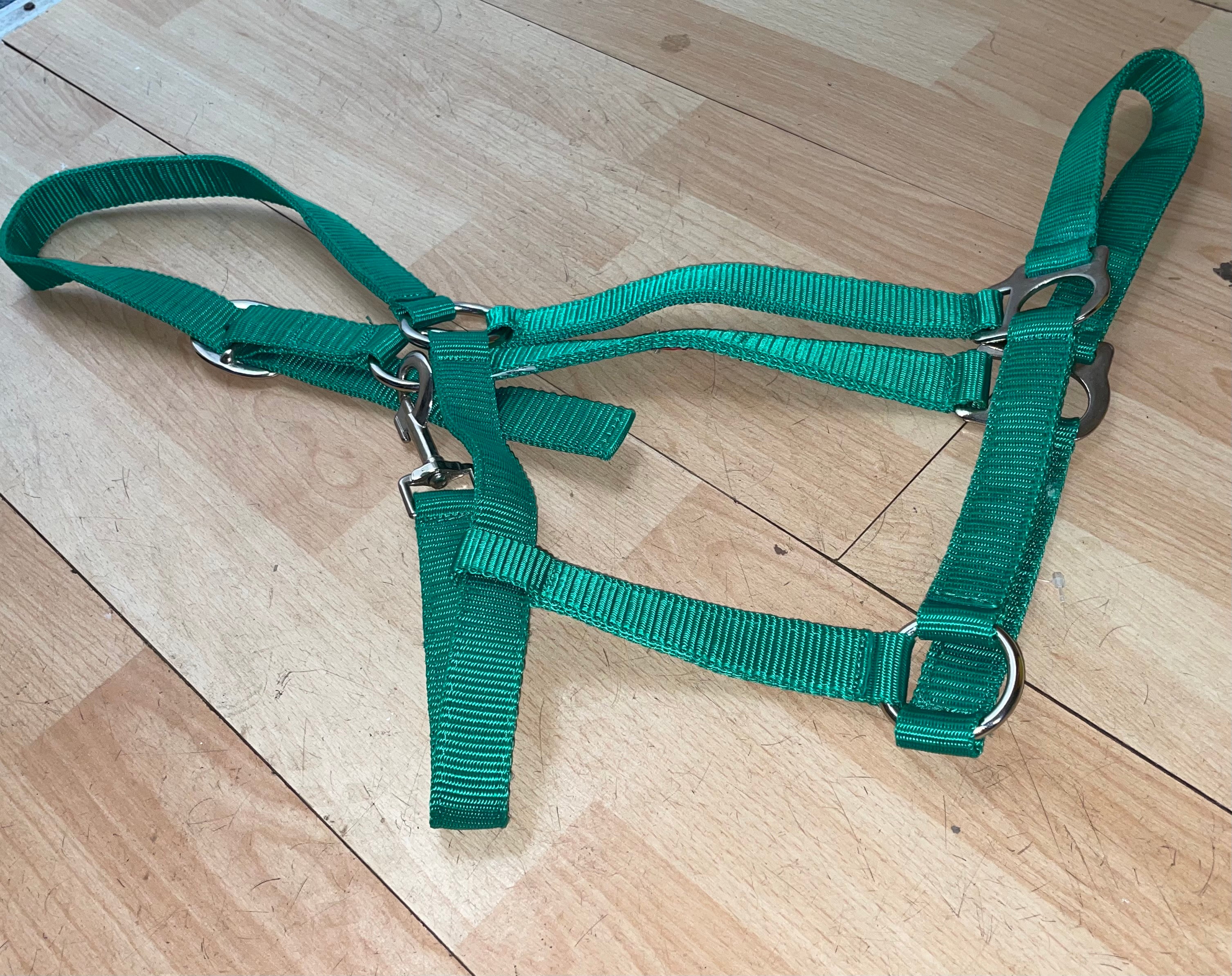 Green Extra Full Nylon Headcollar