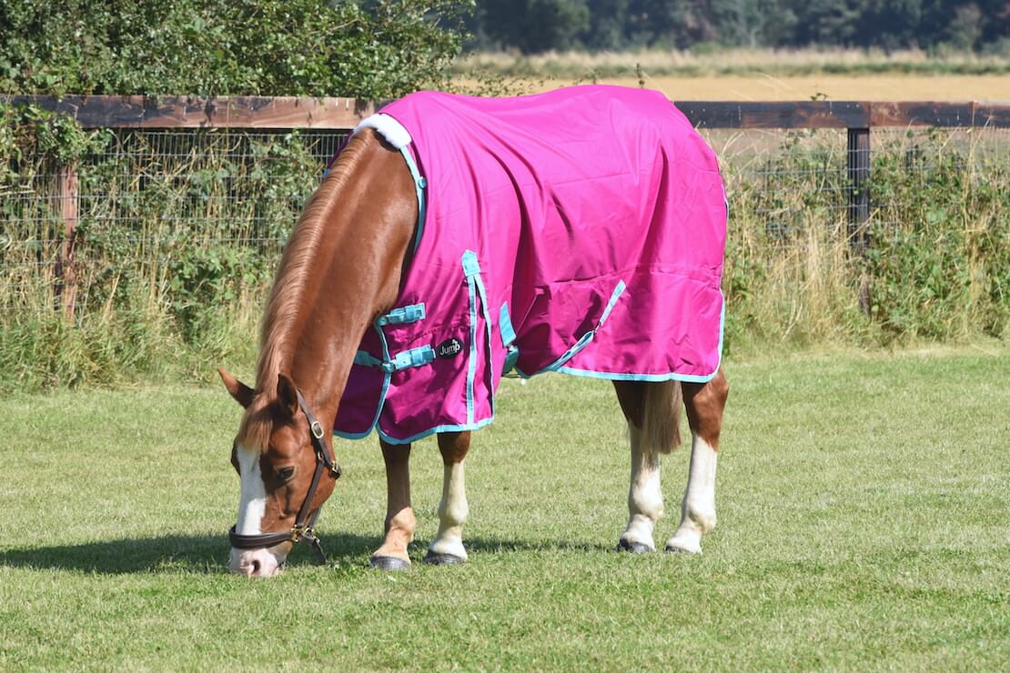 Jump Lightweight No Fill Turnout Rug - 5’3 to 7ft