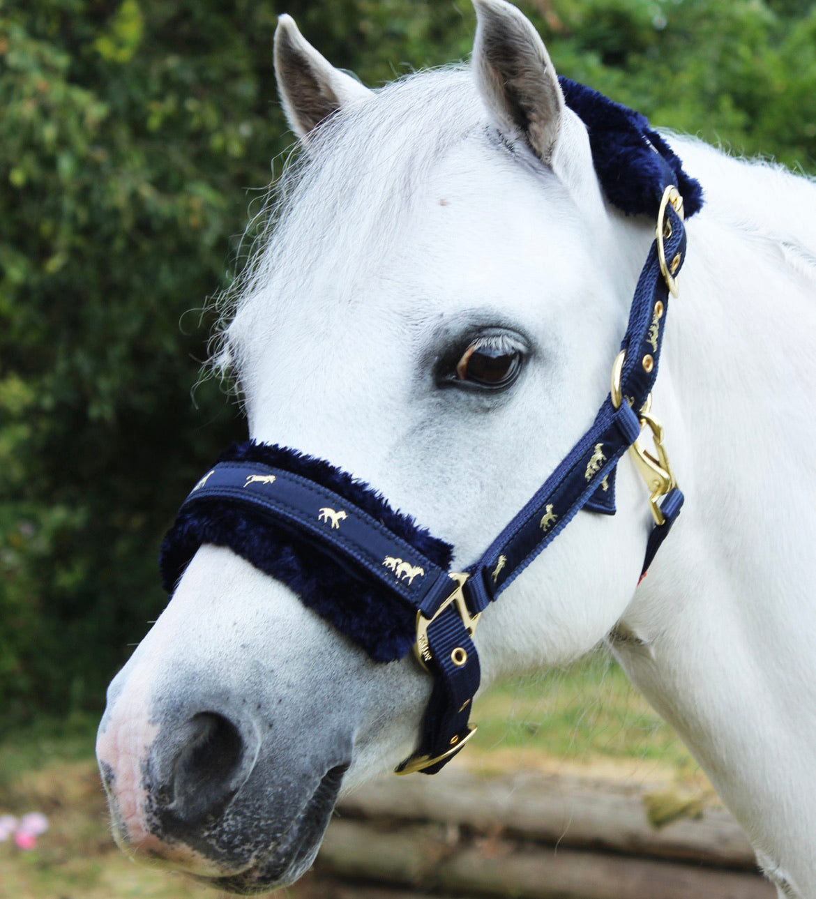 Fluffys!! Fluffy Headcollar - Various Sizes & Colours