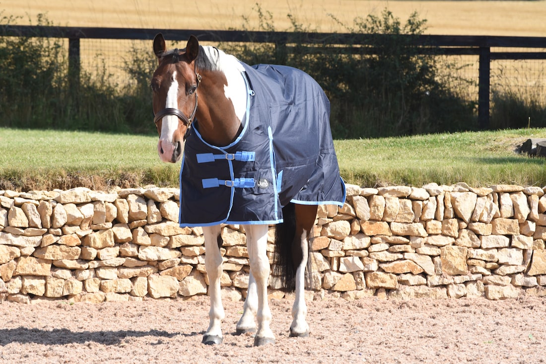 Jump Lightweight No Fill Turnout Rug - 5’3 to 7ft