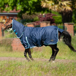 Gallop Trojan 350gm Turnout Combo Rug