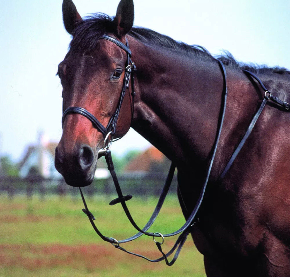 Windsor 3 Point Breastplate
