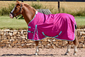 Jump Lightweight No Fill Turnout Rug - 5’3 to 7ft