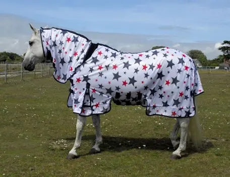 Rhinegold Sahara Stars Fly Combo Rug